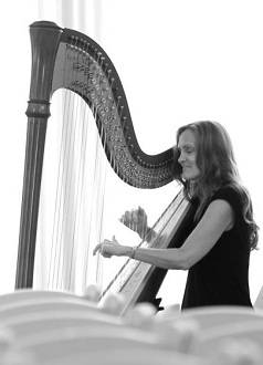 contemporary music harpist orlando