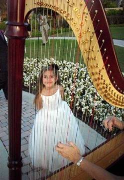 harp music orlando country